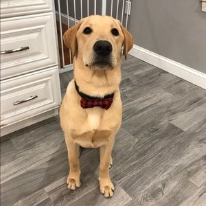 Meet your Posher, Jaclyn